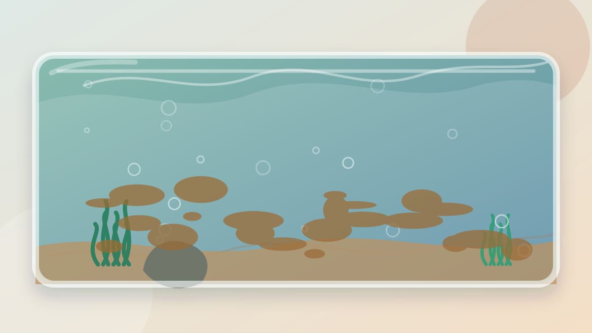Brown diatom film in a new aquarium