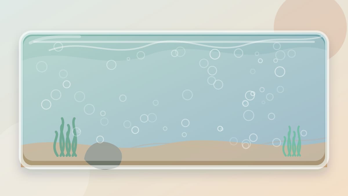 Cloudy white aquarium water after setup