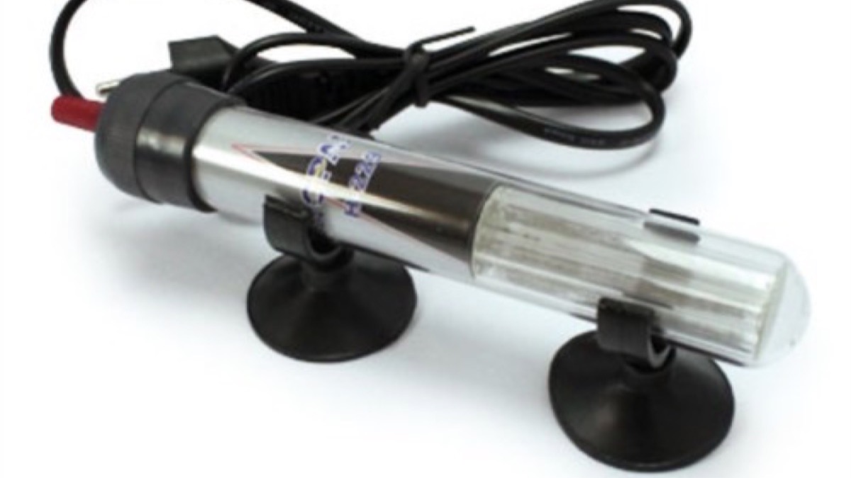 Thermostatic heater in a 54 L aquarium