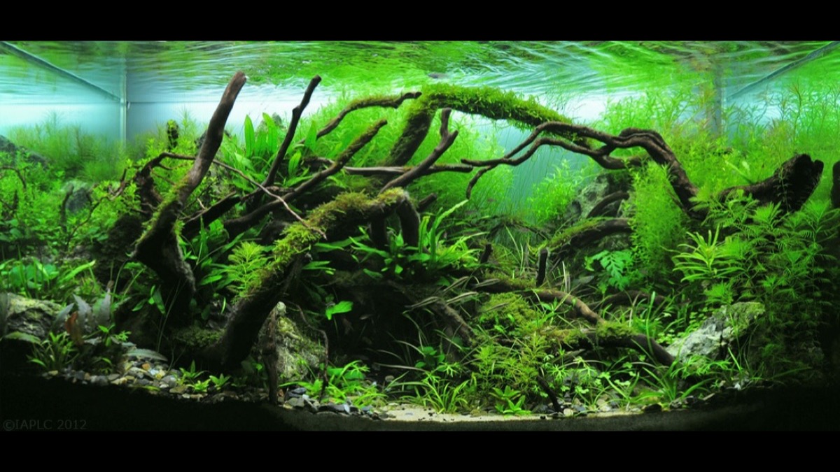 Aquasoil in a no-CO2 nano tank